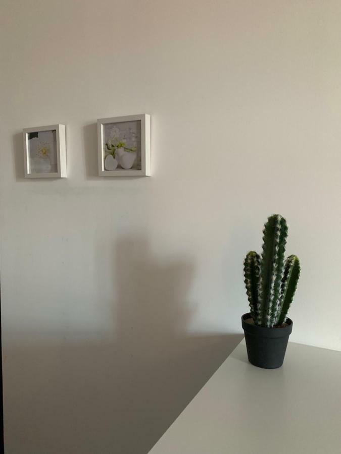 Beau T4 Hyper Centre Avec Parking Apartment Perpignan Luaran gambar